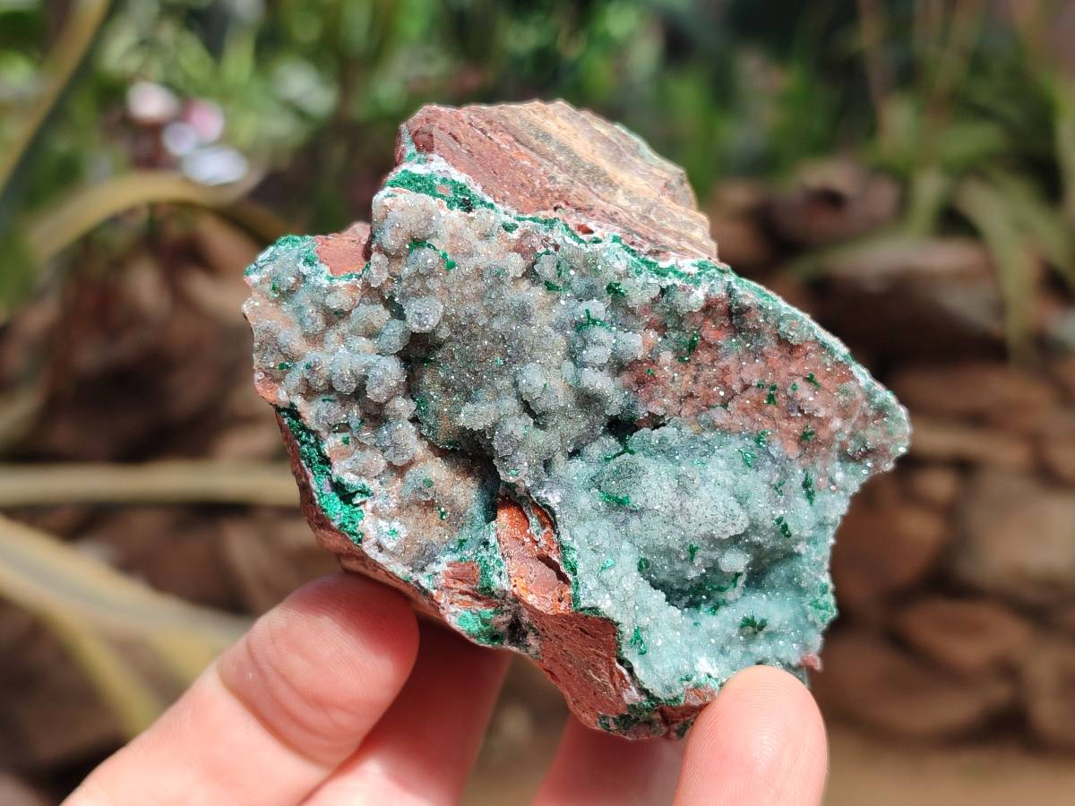 Natural Drusy Quartz Coated Malachite On Red Copper Dolomite Specimens x 3 From Lupoto Mine, Congo - Toprock Gemstones and Minerals 