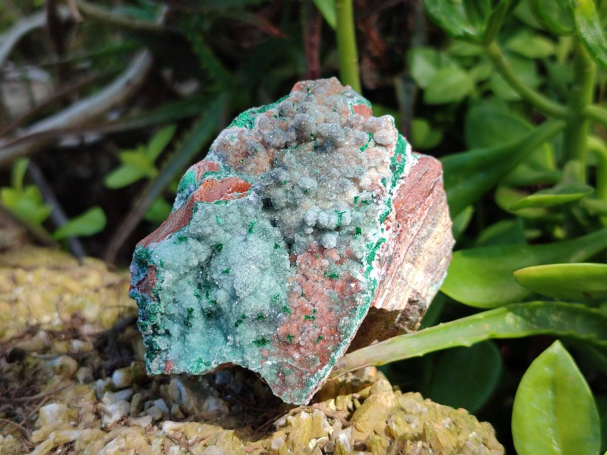 Natural Drusy Quartz Coated Malachite On Red Copper Dolomite Specimens x 3 From Lupoto Mine, Congo - Toprock Gemstones and Minerals 