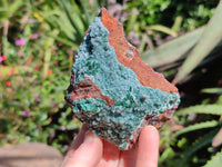 Natural Drusy Quartz Coated Malachite On Red Copper Dolomite Specimens x 3 From Lupoto Mine, Congo