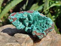 Natural Drusy Quartz Coated Malachite On Red Copper Dolomite Specimens x 3 From Lupoto Mine, Congo