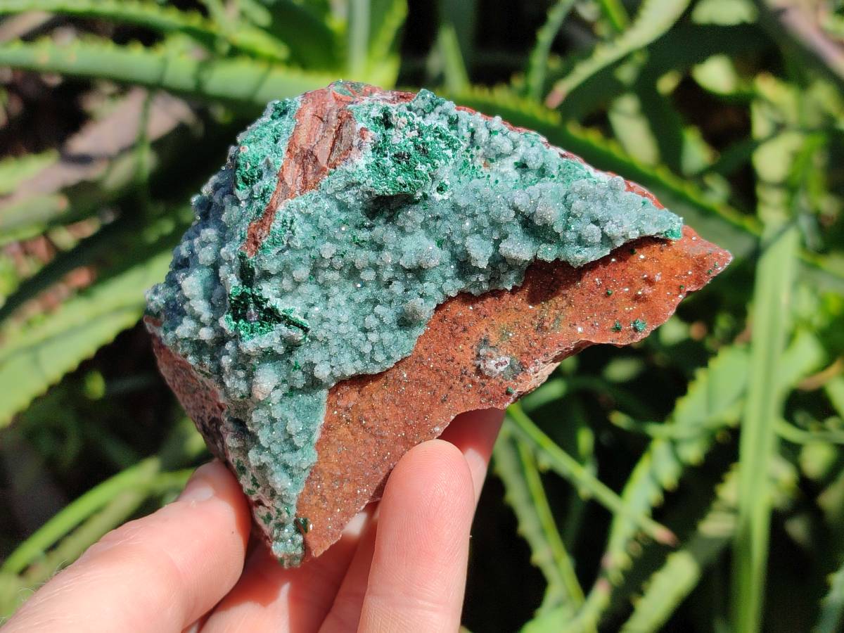 Natural Drusy Quartz Coated Malachite On Red Copper Dolomite Specimens x 3 From Lupoto Mine, Congo - Toprock Gemstones and Minerals 
