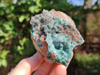 Natural Drusy Quartz Coated Malachite On Red Copper Dolomite Specimens x 3 From Lupoto Mine, Congo
