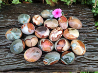 Polished Polychrome Jasper Palm Stones x 20 From NW Coast, Madagascar