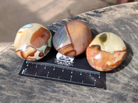 Polished Polychrome Jasper Palm Stones x 20 From NW Coast, Madagascar
