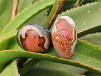 Polished Polychrome Jasper Palm Stones x 20 From NW Coast, Madagascar
