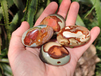 Polished Polychrome Jasper Palm Stones x 20 From NW Coast, Madagascar