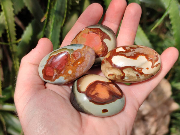 Polished Polychrome Jasper Palm Stones x 20 From NW Coast, Madagascar