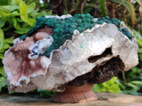 Natural Ball Malachite On Quartz Matrix Specimen x 1 From Kambove, Congo
