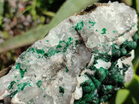 Natural Ball Malachite On Quartz Matrix Specimen x 1 From Kambove, Congo