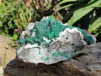Natural Ball Malachite On Quartz Matrix Specimen x 1 From Kambove, Congo - Toprock Gemstones and Minerals 