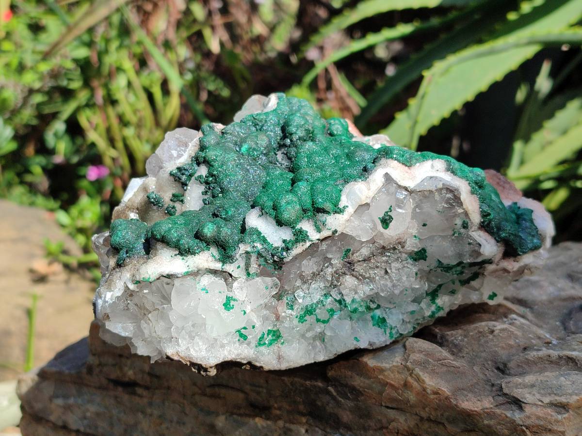 Natural Ball Malachite On Quartz Matrix Specimen x 1 From Kambove, Congo - Toprock Gemstones and Minerals 
