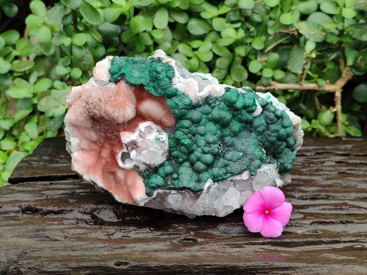 Natural Ball Malachite On Quartz Matrix Specimen x 1 From Kambove, Congo - Toprock Gemstones and Minerals 