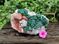 Natural Ball Malachite On Quartz Matrix Specimen x 1 From Kambove, Congo