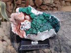 Natural Ball Malachite On Quartz Matrix Specimen x 1 From Kambove, Congo - Toprock Gemstones and Minerals 