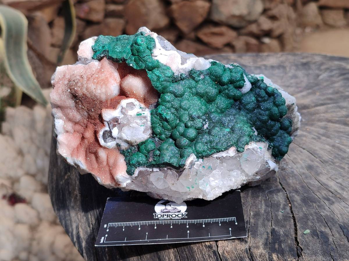 Natural Ball Malachite On Quartz Matrix Specimen x 1 From Kambove, Congo - Toprock Gemstones and Minerals 