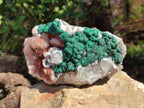 Natural Ball Malachite On Quartz Matrix Specimen x 1 From Kambove, Congo - Toprock Gemstones and Minerals 
