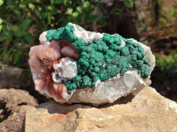 Natural Ball Malachite On Quartz Matrix Specimen x 1 From Kambove, Congo