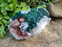 Natural Ball Malachite On Quartz Matrix Specimen x 1 From Kambove, Congo