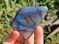 Polished Labradorite Standing Free Forms x 6 From Tulear, Madagascar
