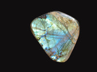 Polished Labradorite Standing Free Forms x 6 From Tulear, Madagascar