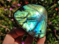 Polished Labradorite Standing Free Forms x 6 From Tulear, Madagascar