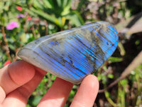 Polished Labradorite Standing Free Forms x 6 From Tulear, Madagascar