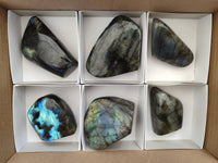 Polished Labradorite Standing Free Forms x 6 From Tulear, Madagascar
