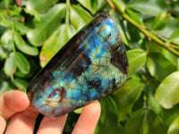 Polished Labradorite Standing Free Forms x 6 From Tulear, Madagascar