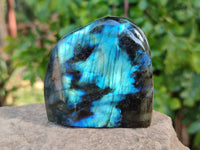 Polished Labradorite Standing Free Forms x 6 From Tulear, Madagascar