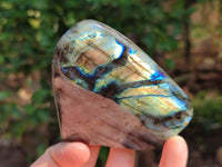 Polished Labradorite Standing Free Forms x 6 From Tulear, Madagascar