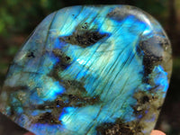 Polished Labradorite Standing Free Forms x 6 From Tulear, Madagascar