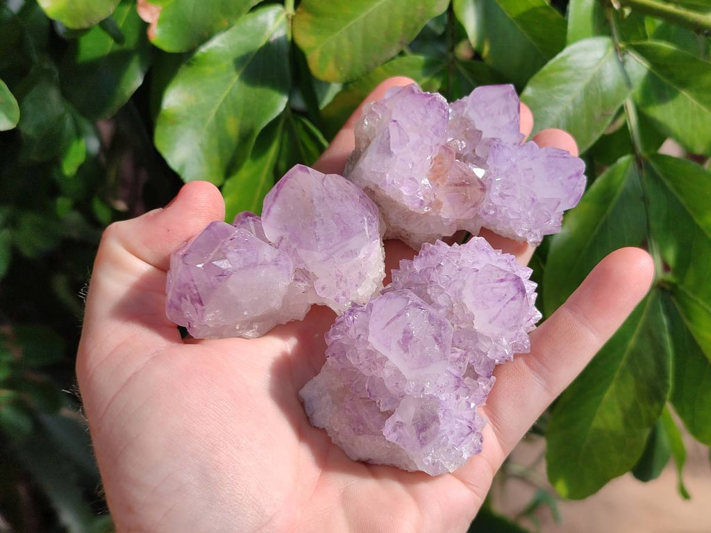 Natural Amethyst Spirit Quartz Clusters x 12 From Boekenhouthoek, South Africa - Toprock Gemstones and Minerals 