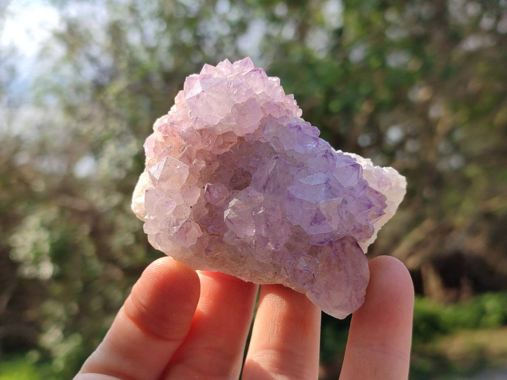Natural Amethyst Spirit Quartz Clusters x 12 From Boekenhouthoek, South Africa - Toprock Gemstones and Minerals 