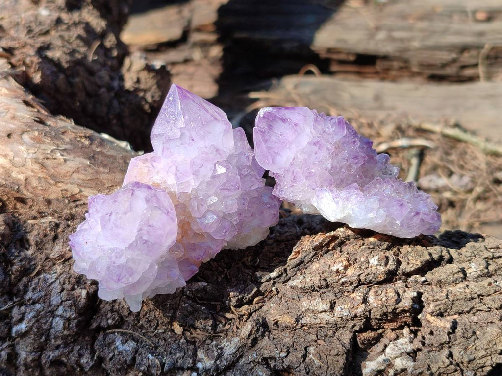 Natural Amethyst Spirit Quartz Clusters x 12 From Boekenhouthoek, South Africa - Toprock Gemstones and Minerals 