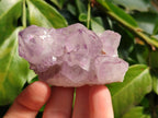 Natural Amethyst Spirit Quartz Clusters x 12 From Boekenhouthoek, South Africa - Toprock Gemstones and Minerals 