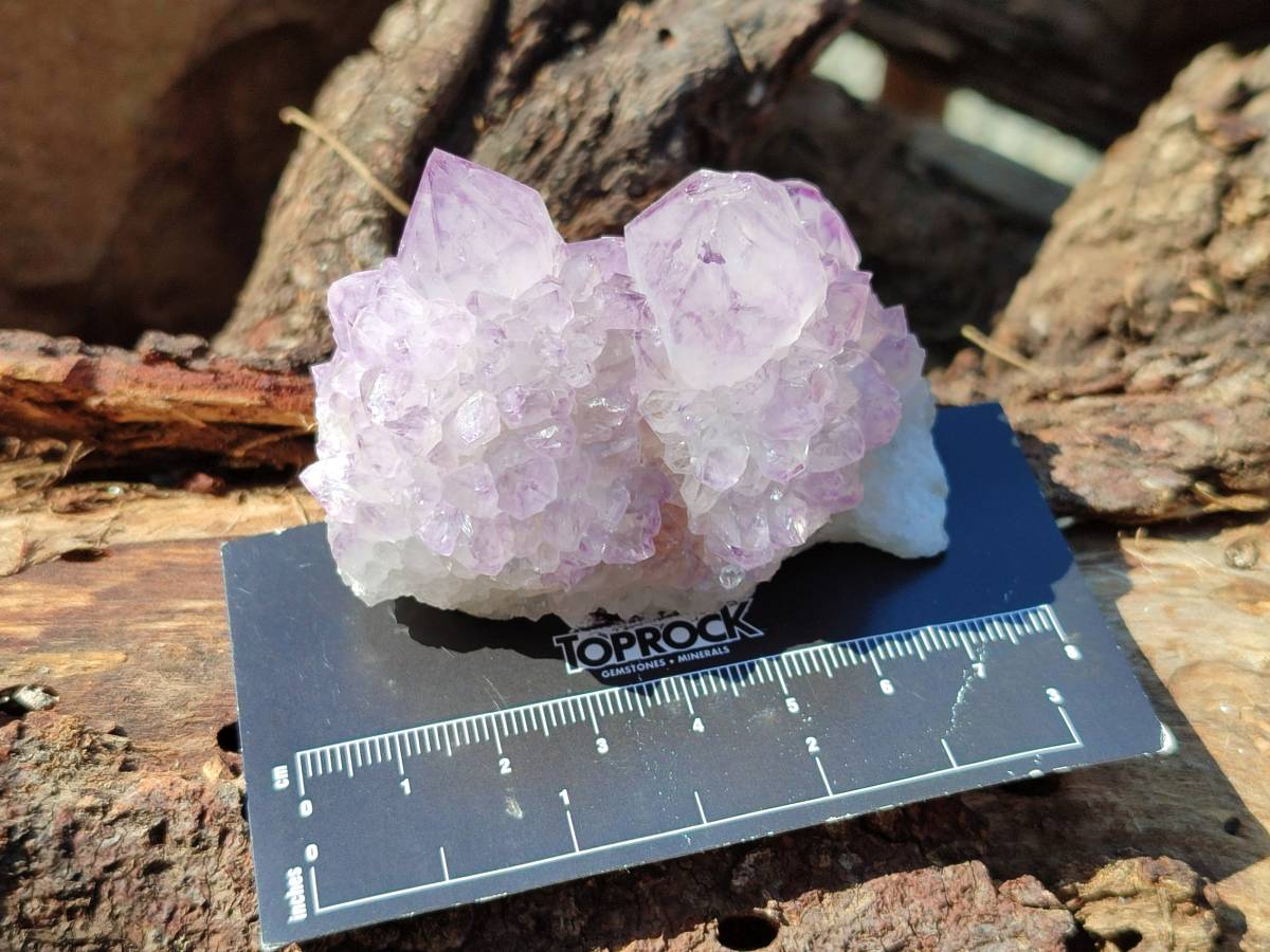 Natural Amethyst Spirit Quartz Clusters x 12 From Boekenhouthoek, South Africa - Toprock Gemstones and Minerals 