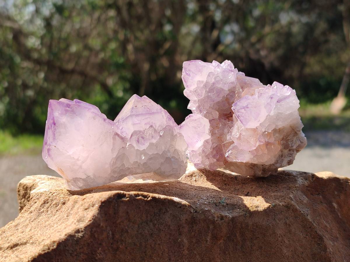 Natural Amethyst Spirit Quartz Clusters x 12 From Boekenhouthoek, South Africa - Toprock Gemstones and Minerals 
