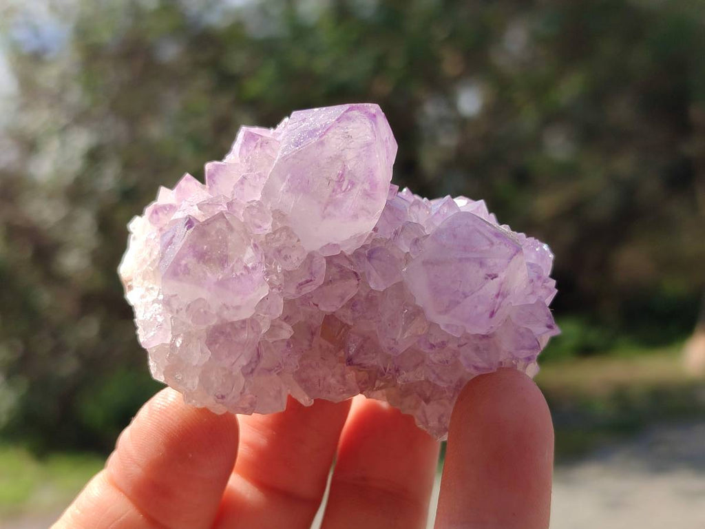 Natural Amethyst Spirit Quartz Clusters x 12 From Boekenhouthoek, South Africa - Toprock Gemstones and Minerals 