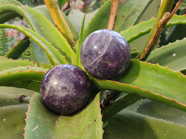 Polished Lepidolite With Pink Rubellite Spheres x 4 From Ambatondrazaka, Madagascar