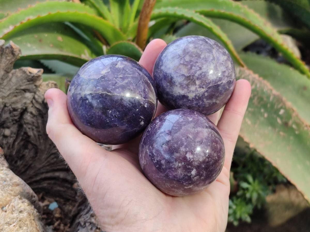 Polished Lepidolite With Pink Rubellite Spheres x 4 From Ambatondrazaka, Madagascar - Toprock Gemstones and Minerals 