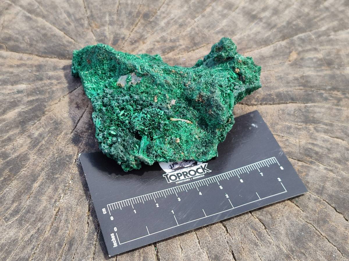 Natural Silky Malachite Specimens x 6 From Kasompe, Congo - Toprock Gemstones and Minerals 
