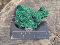 Natural Silky Malachite Specimens x 6 From Kasompe, Congo