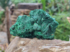 Natural Silky Malachite Specimens x 6 From Kasompe, Congo - Toprock Gemstones and Minerals 