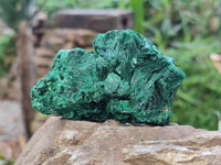 Natural Silky Malachite Specimens x 6 From Kasompe, Congo