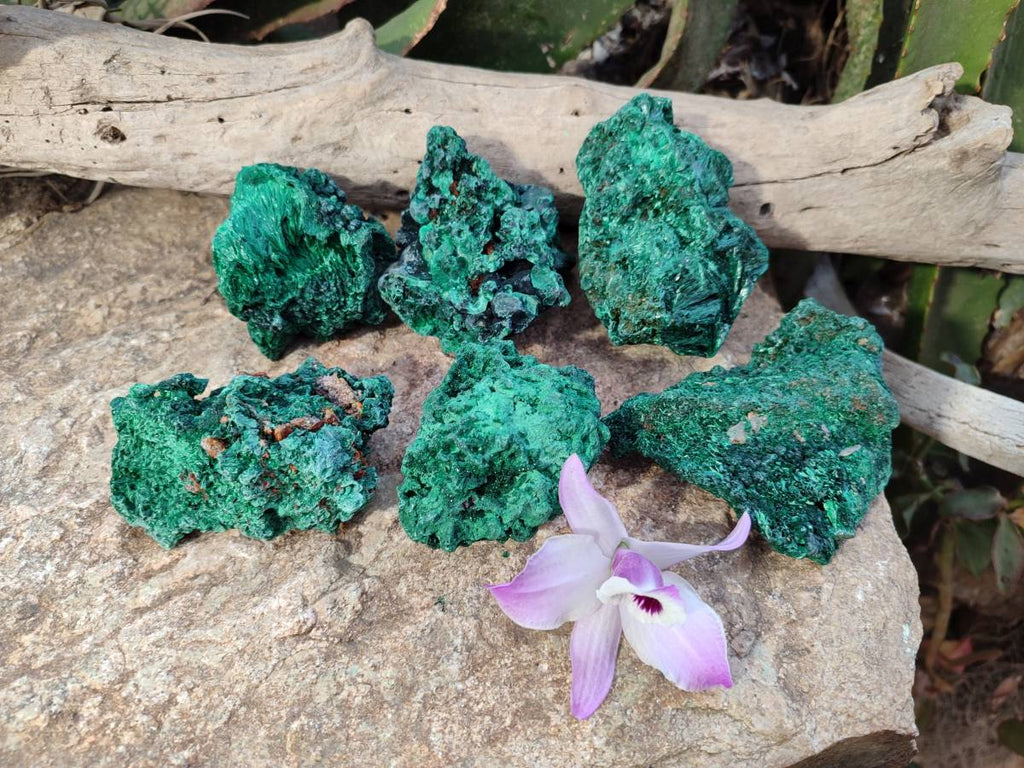 Natural Silky Malachite Specimens x 6 From Kasompe, Congo - Toprock Gemstones and Minerals 
