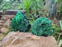 Natural Silky Malachite Specimens x 6 From Kasompe, Congo