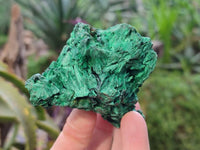 Natural Silky Malachite Specimens x 6 From Kasompe, Congo