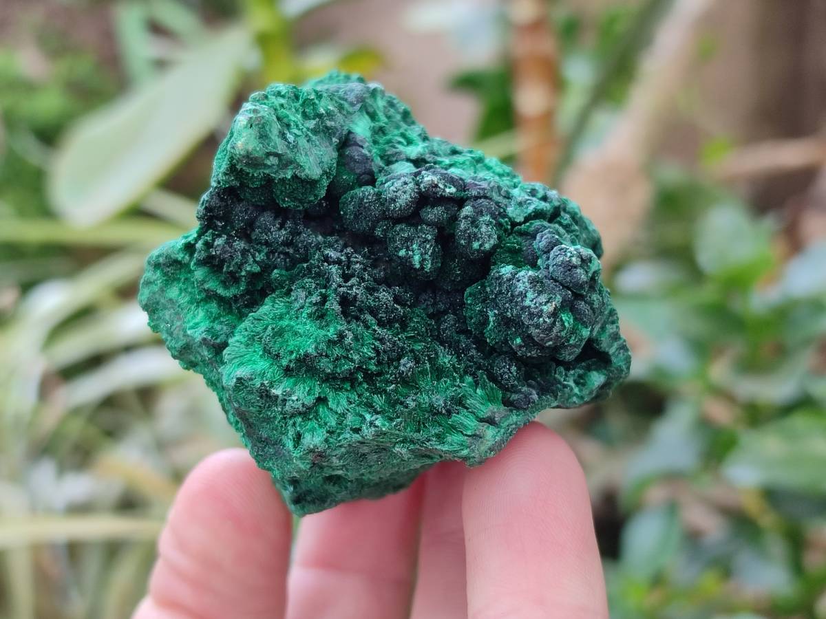 Natural Silky Malachite Specimens x 6 From Kasompe, Congo - Toprock Gemstones and Minerals 