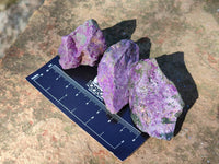 Natural Stichtite Cobbed Specimens x 70 From Barberton, South Africa