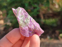 Natural Stichtite Cobbed Specimens x 70 From Barberton, South Africa
